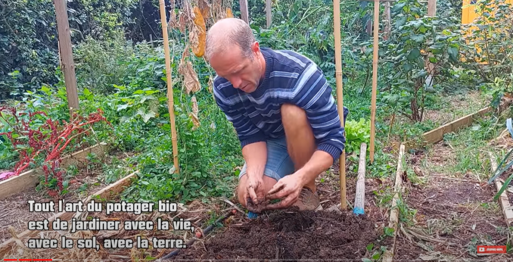 Comment préparer son sol potager à l automne medias presse info