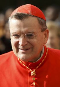 Le cardinal Burke :  « Critiquer le pape pour le bien de l’Église »