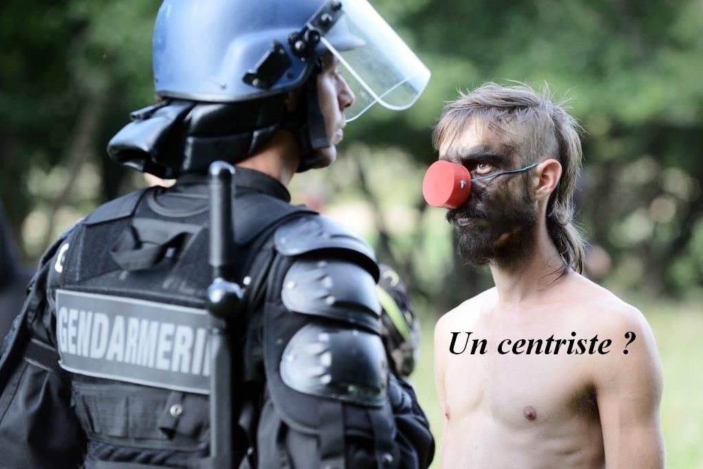 An environmental activist confronts a riot policeman securing a construction site in the Sivens forest, as clearing has started in preparation of the Sivens dam construction, on September 9, 2014 near Gaillac, in the Tarn region. Although the construction of the dam would help supply water to nearby farms, it would remove a 13 hectares long reservoir of biodiversity. Proponents of the dam - including the FDSEA (Departemental Federation of syndicated farmers) - deemed necessary to secure water supplies for farmers. Opponents - backed by French Europe Ecologie Les Verts (EELV) green party member of the European Parliament - are moved by the disappearance of a wetland sheltering 94 protected species and therefore denounce the projected irrigated agricultural model. AFP PHOTO / REMY GABALDA