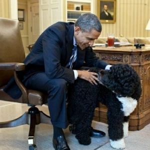 president-barack-obama-et-bo-le-chien-de-la-maison-blanche