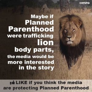 PlannedParenthood-BodyPartsForSale-LionKilled