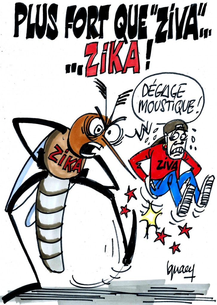 Ignace - La menace du virus zika